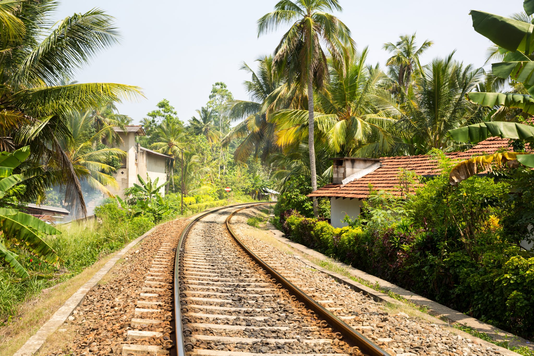 Screen Galle-Destinations-Rising-Galle-beachpalm-forest-across-railway-road-on-sri-lanka-PF7GE8L